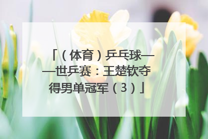 （体育）乒乓球——世乒赛：王楚钦夺得男单冠军（3）